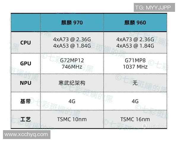 杭州排球队个人能力深度对比与战术分析探讨